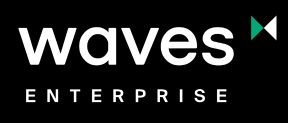 Waves Enterprise ПО