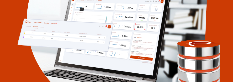 В платформе администрирования СУБД Tantor 3.1 появились локализация интерфейса и другие нововведения