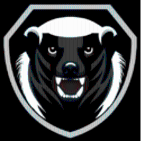 Платформа МЕДОЕД