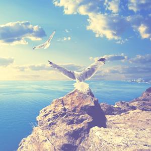 Astra Linux – официальный партнер форума ИнфоБерег - 2018