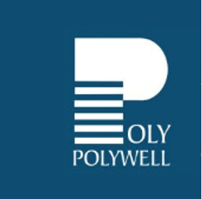 Polywell Computers